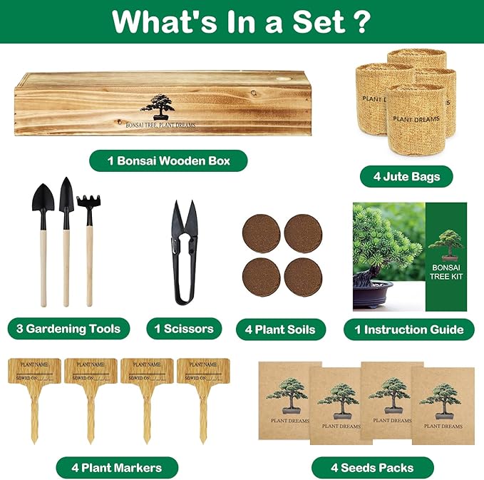 bonsai tree gift kit Bonsai Tree Kit, Complete Indoor Bonsai Starter Kit for Growing Bonsai Plants with Tools & Pots, Grow Bonsai Tree in Live Indoor, Plant Bonsai Kits, DIY Gardening Gifts for Men and Women –