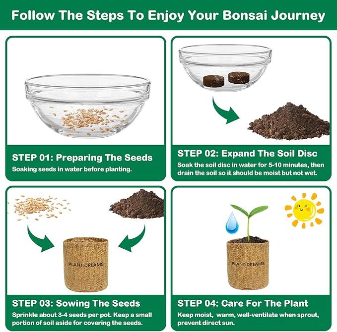 starting a bonsai tree from seed Bonsai Tree Kit, Complete Indoor Bonsai Starter Kit for Growing Bonsai Plants with Tools & Pots, Grow Bonsai Tree in Live Indoor, Plant Bonsai Kits, DIY Gardening Gifts for Men and Women –
