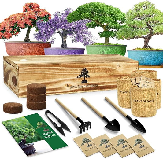 Bonsai Tree Kit