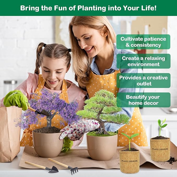 home grown bonsai tree kit Bonsai Tree Kit